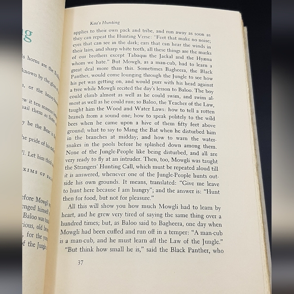 All The Mowgli Stories by Rudyard Kipling 1895 Junior Deluxe Edition Hardcover - Picture 7 of 10